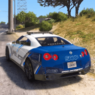现代驾驶考试（NYPD Car Games Driving Test 3D）