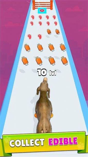 狗狗进化跑酷游戏安卓正版 v1.0