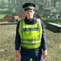 疯狂巡警模拟游戏中文版下载 v1.0