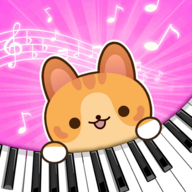 猫咪弹钢琴